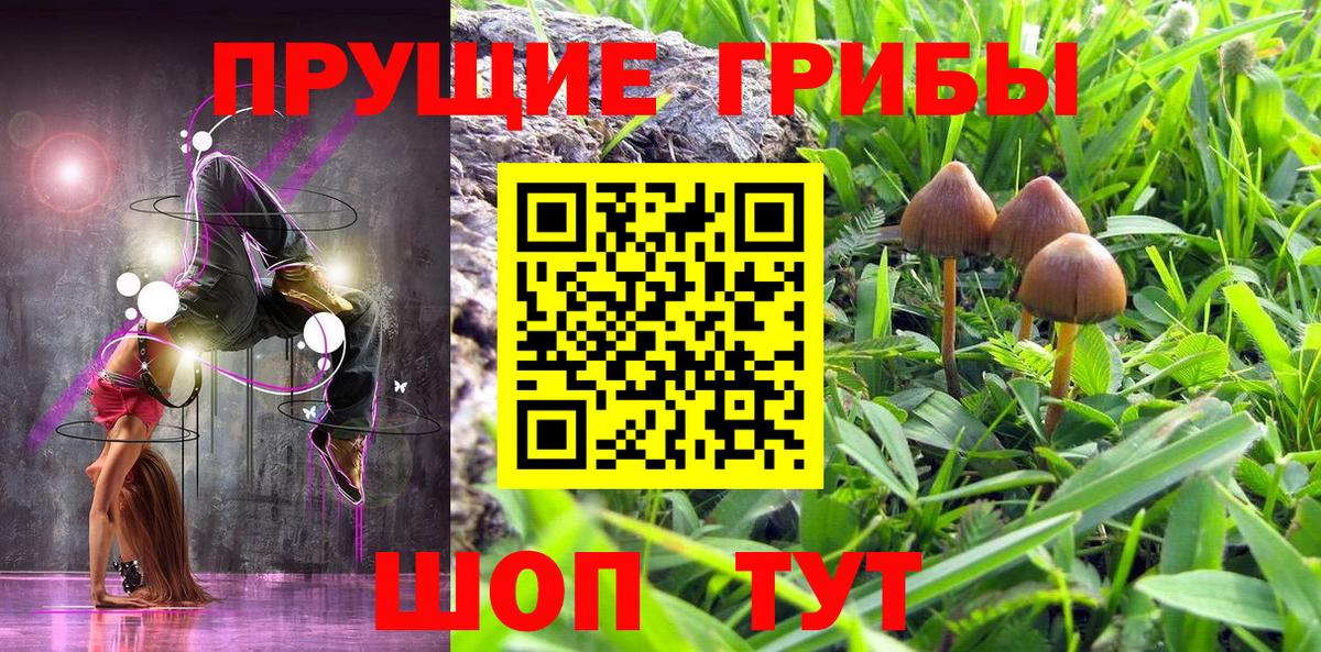 Псилоцибиновые грибы MAGIC MUSHROOMS  Галлюциногенные грибы прущие грибы  Нурлат  Вход с VPN 